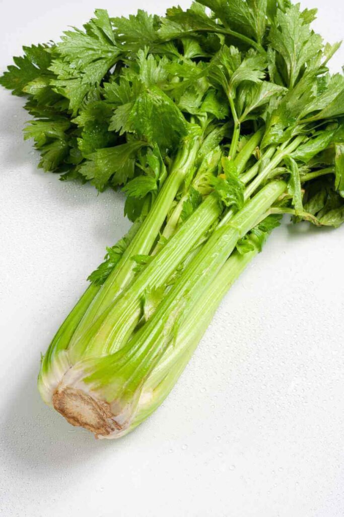 What is Celery